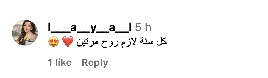 Screenshot eines Instagram-Kommentars aus Yaras Community 2