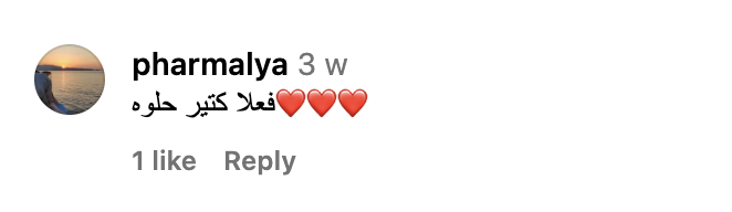 Screenshot eines Instagram-Kommentars aus Yaras Community 4