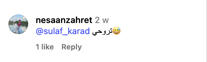 Screenshot eines Instagram-Kommentars aus Yaras Community 5